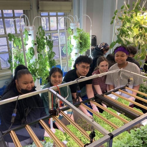 Students Grow Food In Our Hydroponics Lab